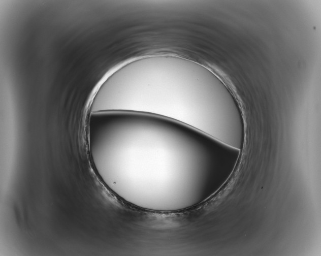 X0000087600816200704271042