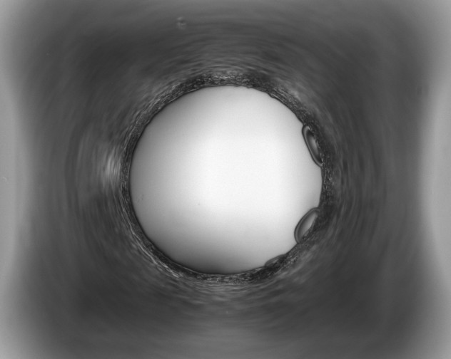 X0000087600817200704271041