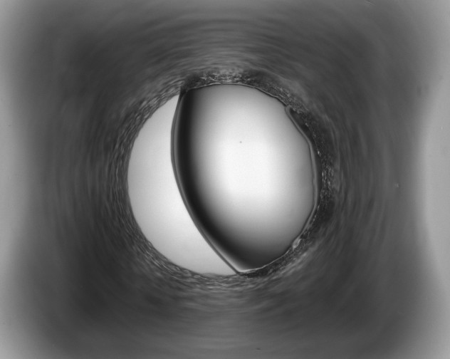 X0000087600818200704271041
