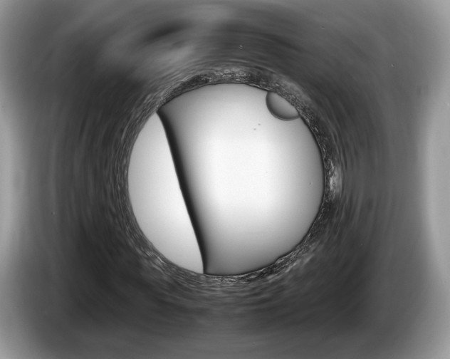 X0000087600819200704271041