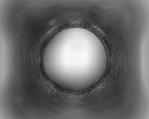 X0000087600821200704271041