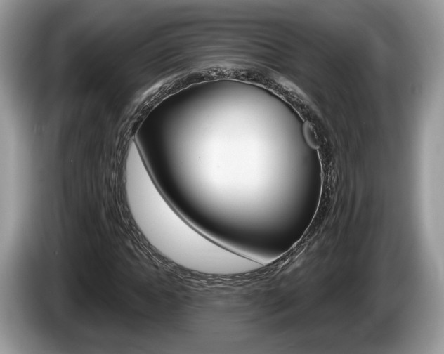 X0000087600822200704271041