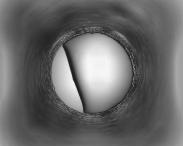 X0000087600823200704271041