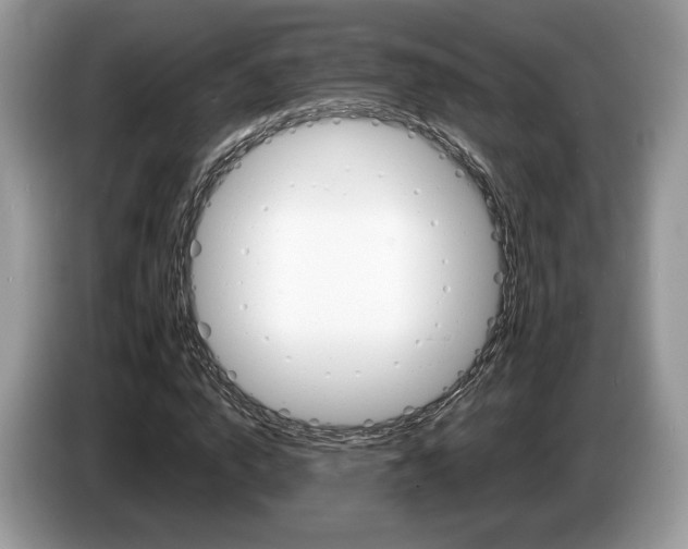 X0000087600824200704271041
