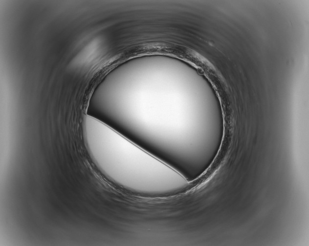 X0000087600825200704271041