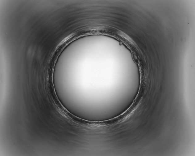 X0000087600826200704271041
