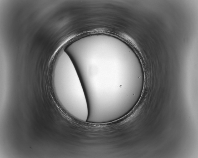 X0000087600827200704271041