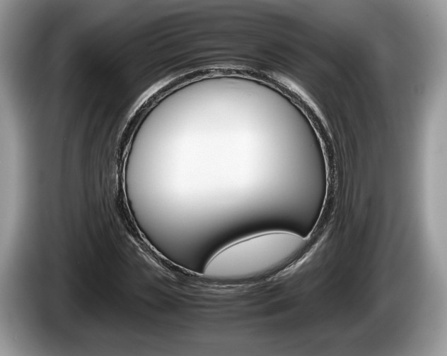 X0000087600829200704271041