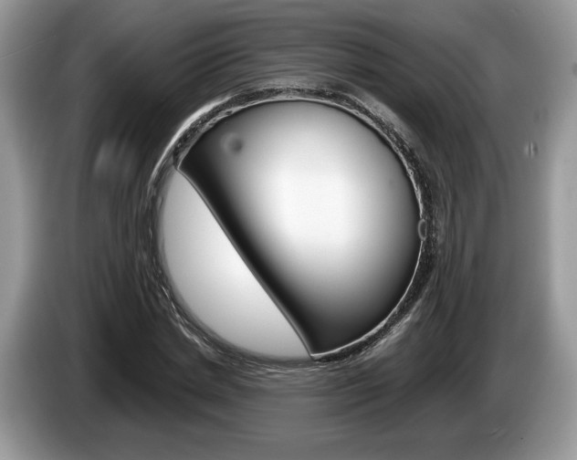 X0000087600830200704271041