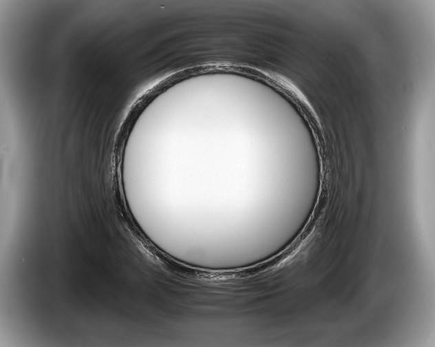 X0000087600831200704271041