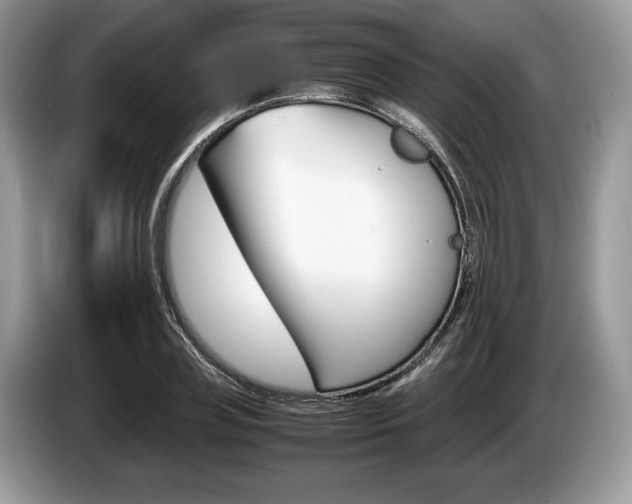 X0000087600835200704271041
