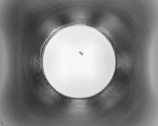 X0000087600836200704271041