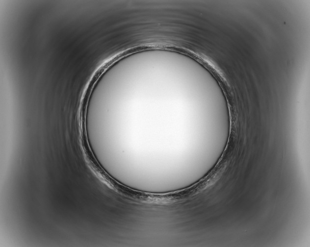 X0000087600840200704271042