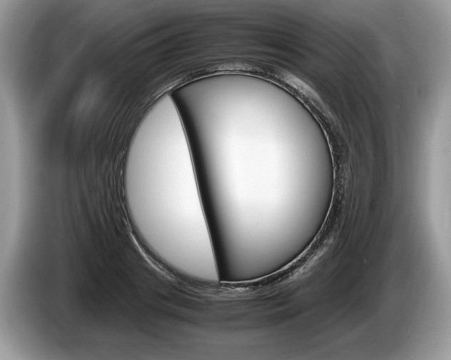 X0000087600841200704271042