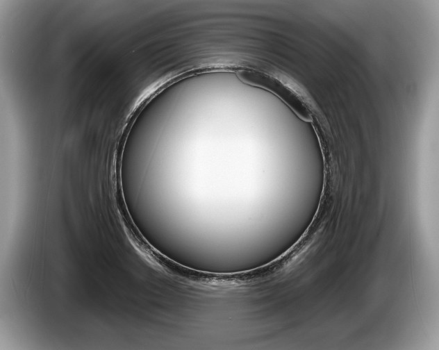 X0000087600842200704271042