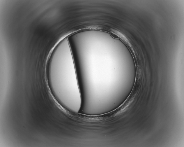 X0000087600843200704271042