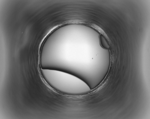X0000087600844200704271042