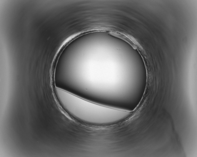 X0000087600846200704271042