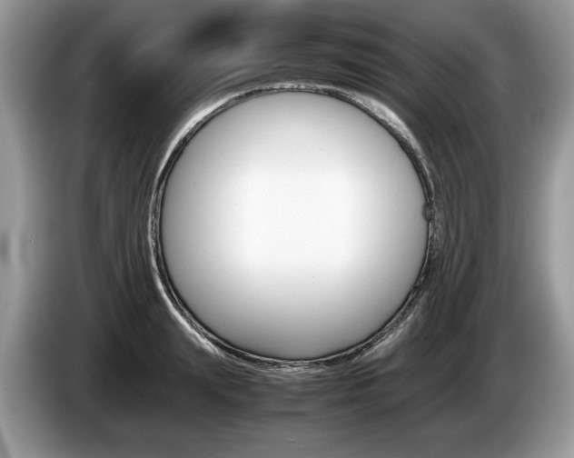 X0000087600847200704271042