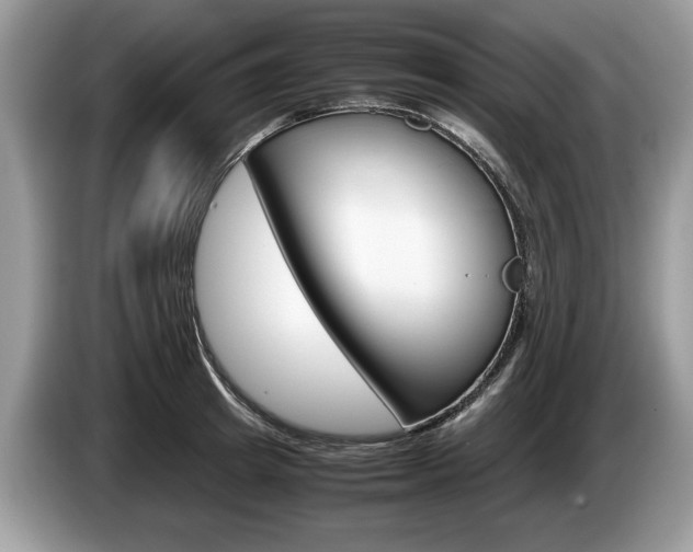 X0000087600849200704271042