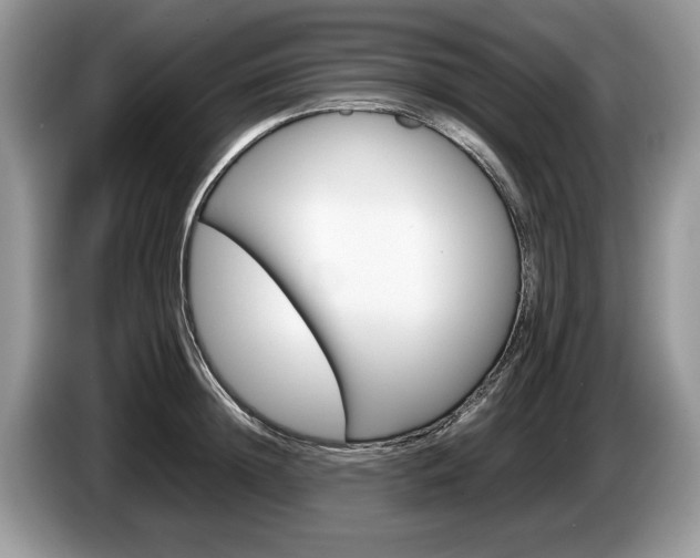 X0000087600852200704271042