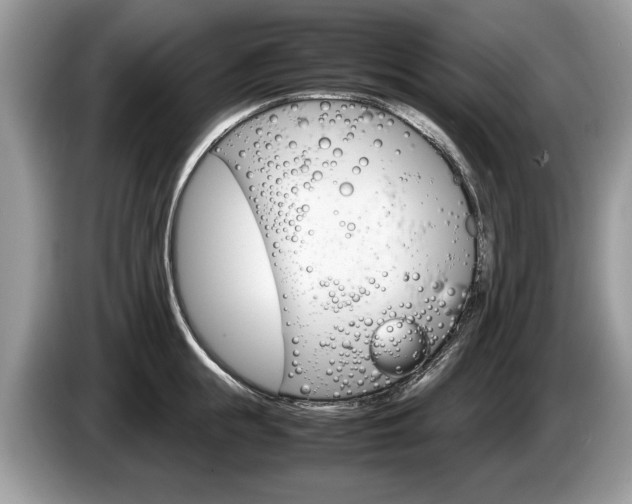 X0000087600855200704271042