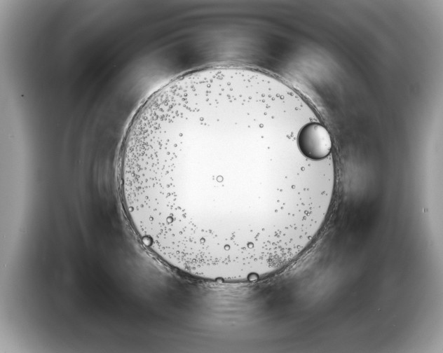 X0000087600856200704271042