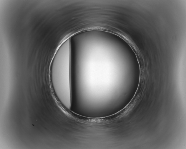 X0000087600858200704271042
