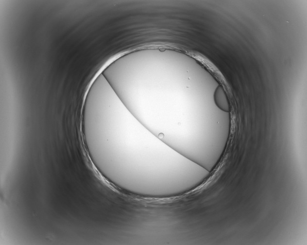 X0000087600860200704271042