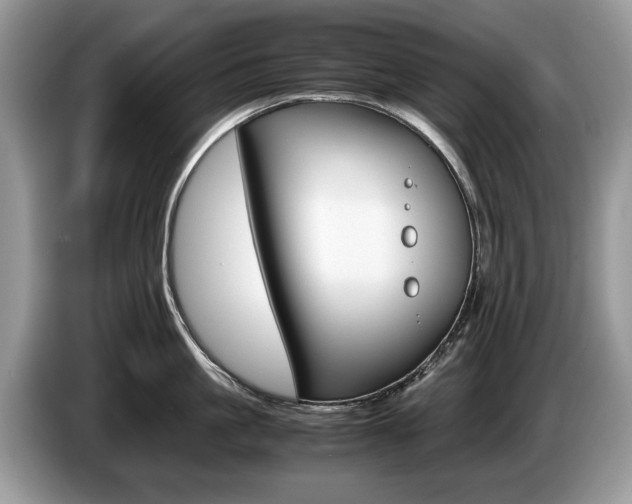 X0000087600861200704271042