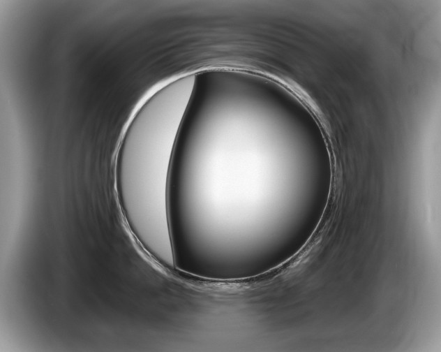 X0000087600862200704271042