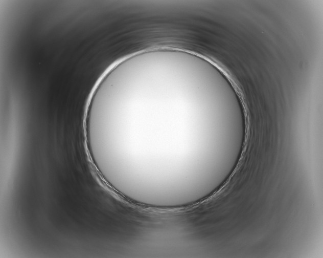 X0000087600864200704271042
