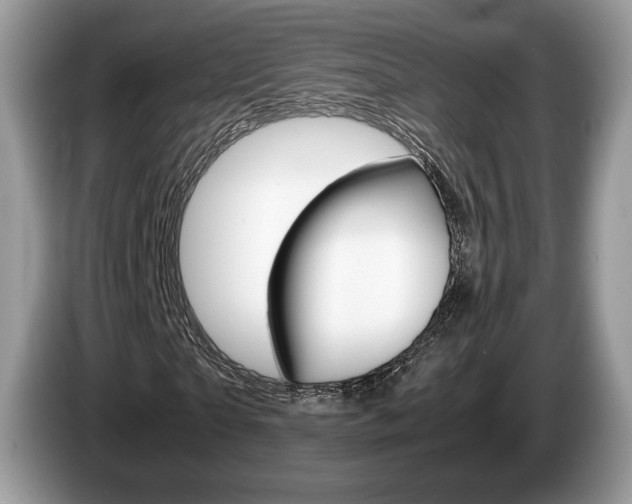 X0000087600865200704271041