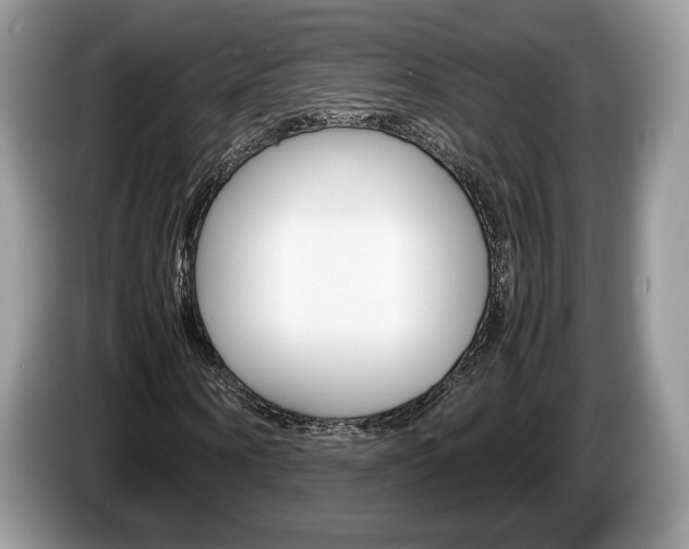 X0000087600866200704271041