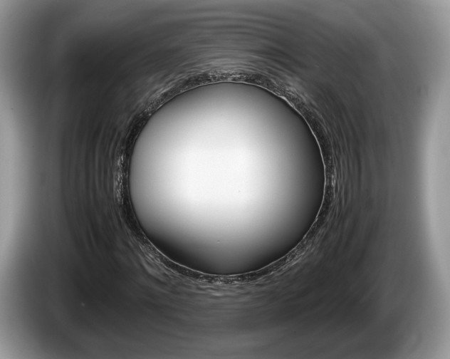 X0000087600868200704271041