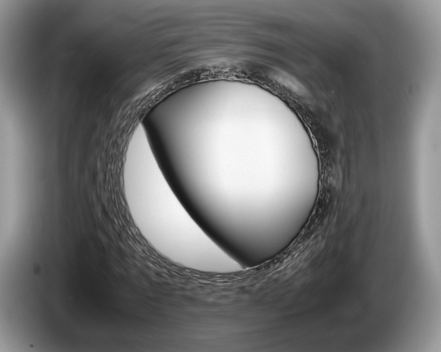 X0000087600869200704271041