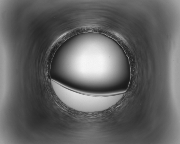 X0000087600872200704271041