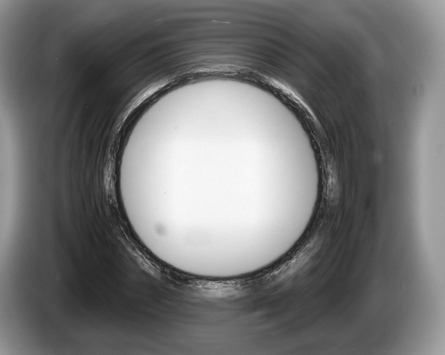 X0000087600874200704271041