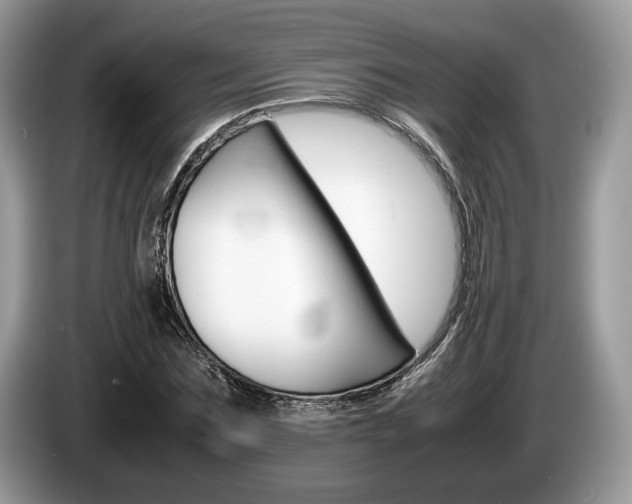 X0000087600875200704271041