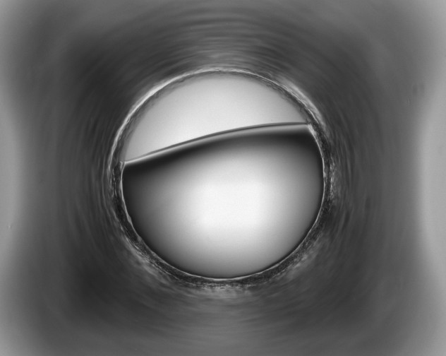 X0000087600876200704271041