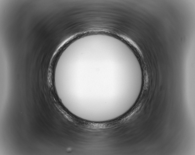 X0000087600878200704271041