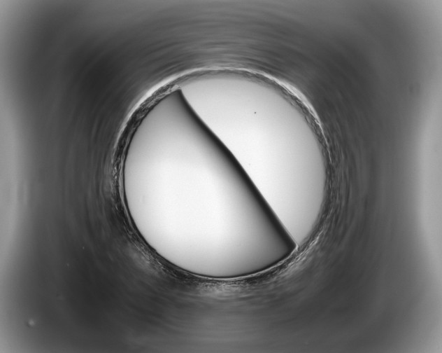 X0000087600879200704271041