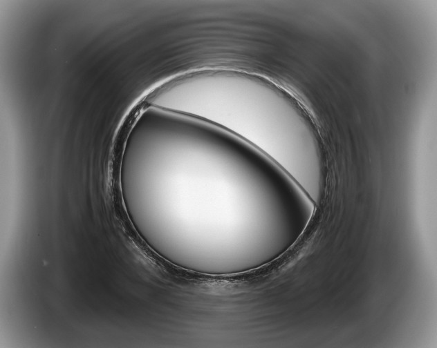 X0000087600880200704271041