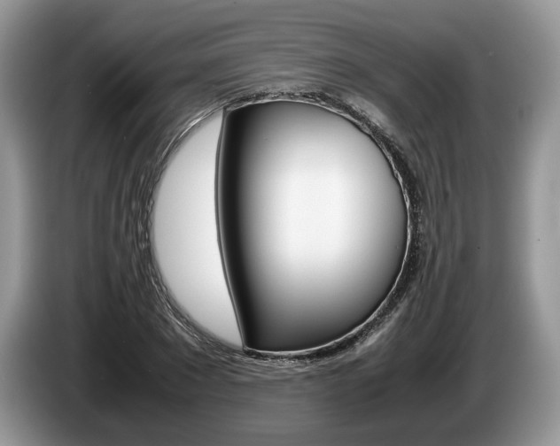 X0000087600881200704271041