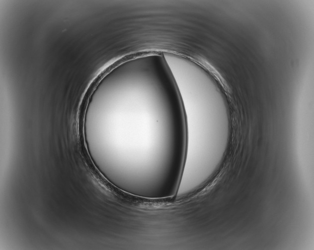 X0000087600884200704271041