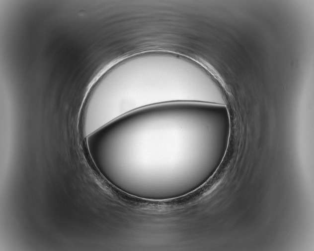 X0000087600885200704271041