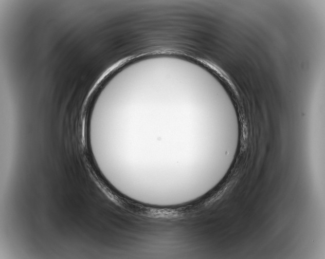 X0000087600886200704271041