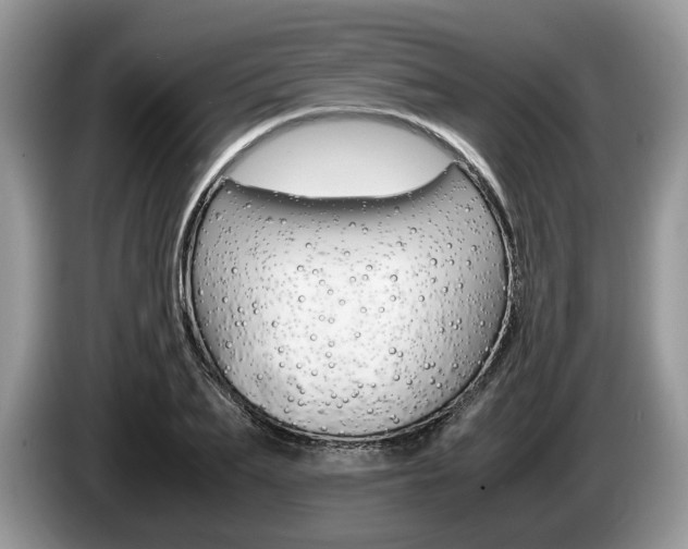 X0000087600887200704271041