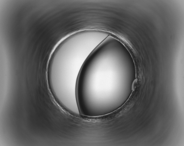 X0000087600888200704271041