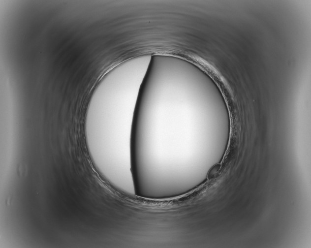 X0000087600889200704271041